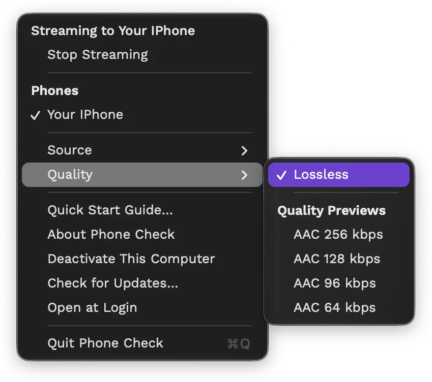 The Quality menu with Lossless ticked